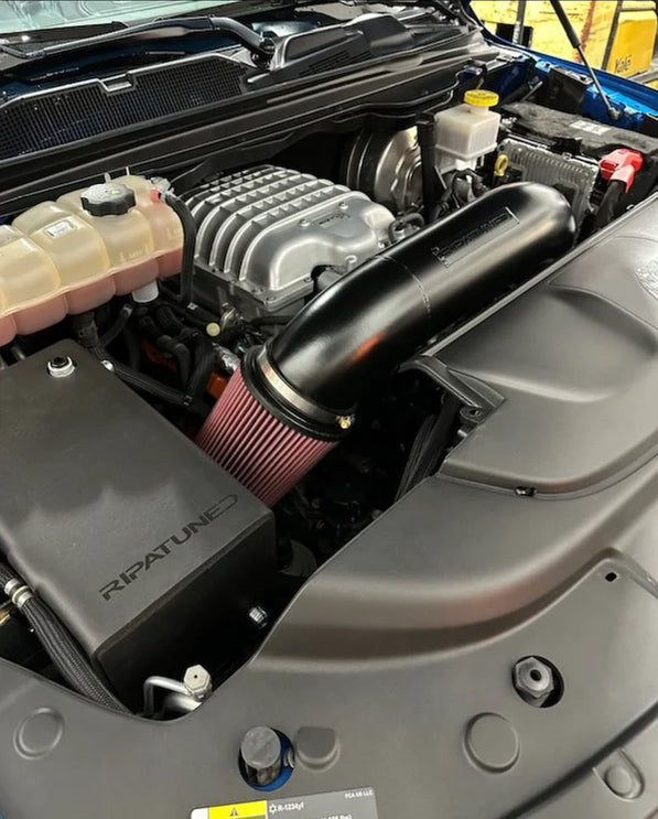 HAMMERDOWN Special!