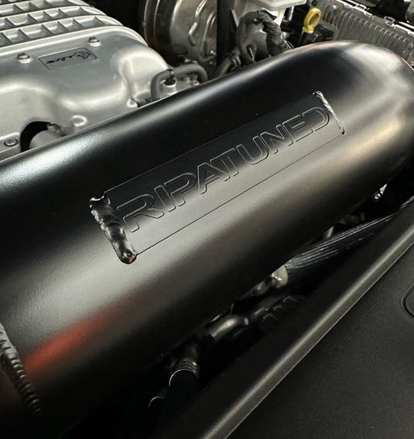 Lets Go Brandon - TRX Kit